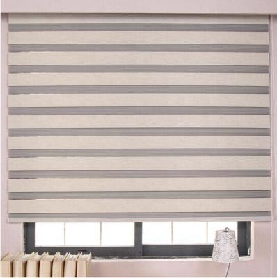 China Factory Price Korea Style Anti-UV Zebra Blind With Accessories Zebra Roller Shade Guangzhou Manufacturer for sale