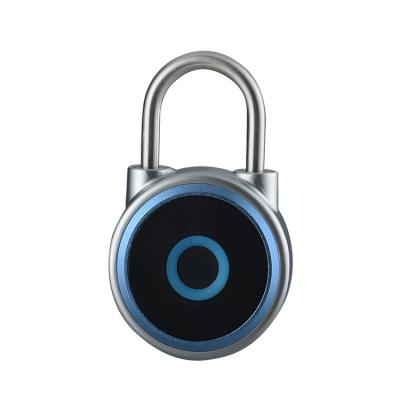 China Smart Lock Electromagnetic Lock for High Safe Door Security in Home/Office/School for sale