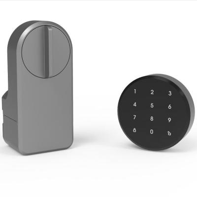 China Introducing the Grey Wifi Smart Gate Lock for Tuya Wooden Doors Memory Card Storage for sale