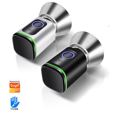 China Smart Hotel Door Fingerprint Locks with Tuya Front Door and Memory Card Storage Options for sale