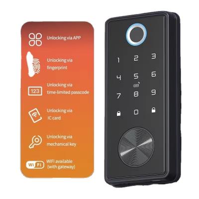 China Zinc Alloy Digital Keyless Entry Smart Home Lock with Cloud Data Storage Options for sale