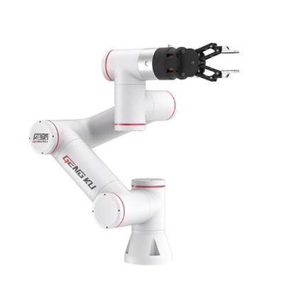 China Robotic Arm CNC Robot With Industrial Arm 6 Axis For Polishing Robot for sale