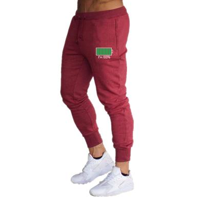 China custom Anti-wrinkle harem pants 2021 hot sale fashion men's pants and trousers for sale