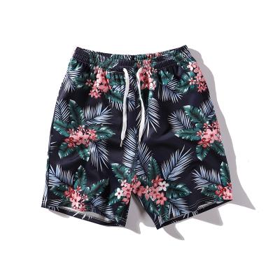 China QUICK DRY Men's Elastic Waist Drawstring Street Short Pants Cotton Casual Shorts With Pockets for sale