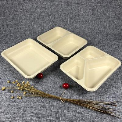 China Paper Sugar Cane Fast Food Container Togo Disposable Biodegradable Compostable Lunch Box for sale