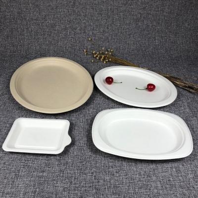 China Disposable Biodegradable Christmas Designer Cake Serving Bagasse Dish Paper Set for sale