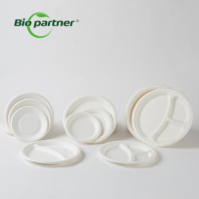 China Modern Compostable Degradable Bio Paper Pulp Sugarcane Bagasse Dish for sale