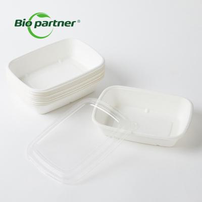 China Modern B18 Oval Sugar Cane Containers Customized Bagasse Food Container for sale