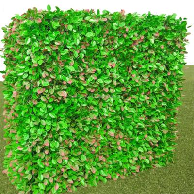 China Easily Assembled Faux Boxwood Meeting Wall for sale