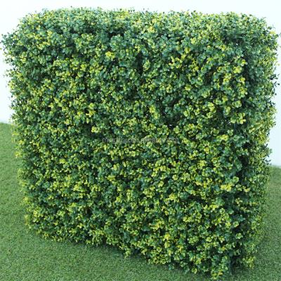 China Easily Assembled Assembling Hedge Decoration for sale