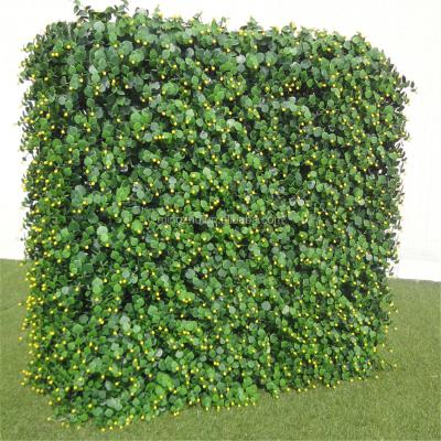 China Easily Assembled Faux Boxwood Meeting Wall for sale