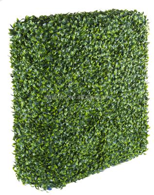 China Easily Assembled Boxwood Gathering Hedge for sale