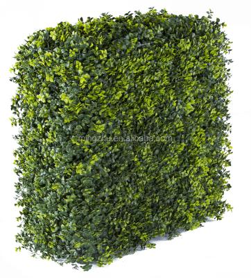 China Easily assembled banding hedge for sale