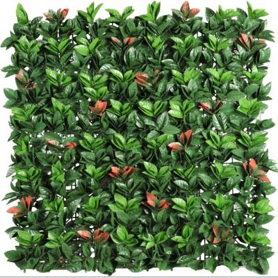 China Eco - Friendly 5 Year UV Stable Artificial Grass Wall Backdrop Green Plant Wall for sale