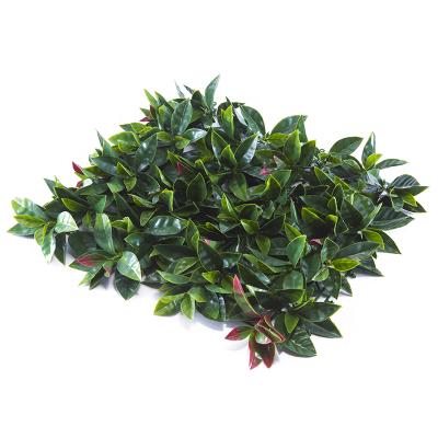 China Decoration Top Selling Garden Green Artificial Live Plant Vertical Wall for sale