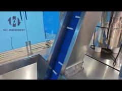 DZA100 Automatic syringe filling machine