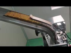 WZTS-120 blister cartoning machine with blister feeder