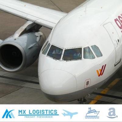 China China DDP Shipping Freight Forwarder Shenzhen Guangzhou Zhejiang Qingdao Xiamen To Amazon Pittsburgh By Air Fast for sale