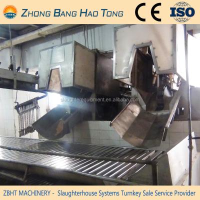 China Hog Point Hog Sorting Conveyor Stunning Conveyor Machine For Big Size Pig Slaughtering Plant for sale