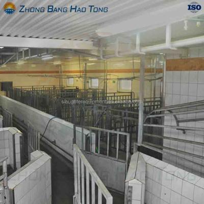 China Pig cattle milking system for large scale cattle slaughterhouse factory for sale