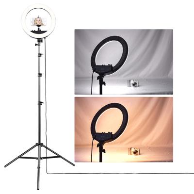 China Beauty RL-12 Colorful Live Broadcast Light Lamp 14 Inch Makeup Photography Ring Light with Tripod Stand for sale