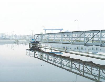 China Filtration Sewage Treatment Sedimentation Tank Rectangular Mud Scraper for sale