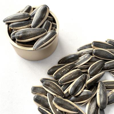 China Dried sunflower seed 601 363 361 for Egypt market import seeds from Turkey, Dubai Uzbekistan for sale