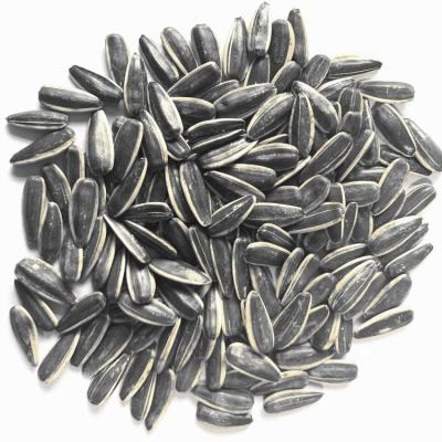 China 361 Fresh Hot Selling Chinese Direct Sunflower Seeds For Planting for sale