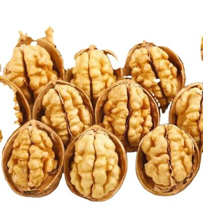 China New fresh plant culture of walnut 185, 33, xiner for sale