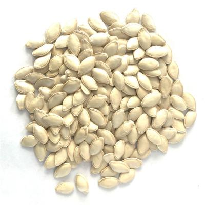 China Dried pumpkin seeds for sale