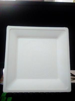 China Different shape available for disposable sugarcane pulp fruit or food plate for sale