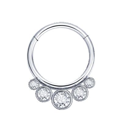 China Fashion G23 CZ Piercing Titanium Nose Rings Hinged Septum Clicker Segment Nose Circle Ring for sale