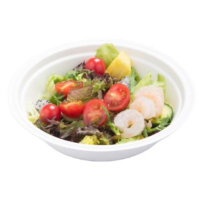 China New Type Oz Sale Degradable Well Natural Dish Compostable And Biodegradable Disposable Bowl for sale