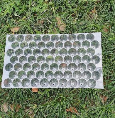 China Plastic Round Hole Seedling Tray PVC Nursery Tray Planting Corn Vegetable Grow Seedlings Grow Dish for sale