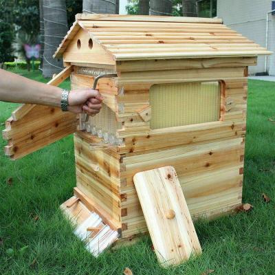 China 7PCS Honey Hive Beehive Frames Free-flowing Automatic Self-flowing Honey Hive + Single Chamber Cedar Beehive Wooden Box for sale