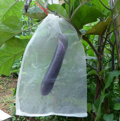 China Agricultural Protect Garden Plant Nylon Fruit Vegetable Grow 40 Mesh Bags Agriculture Anti Bird Pest Protection Net Bag 25cm*15cm for sale