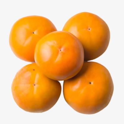 China China fresh fresh persimmon fruit for sale