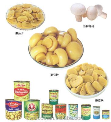 China Fresh Canned Champignon Mushroom Slice Plant for sale