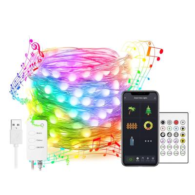 China New-designed RGB Color Changing Voice App Stage Control Musical Fairy 16ft/5M Smart Halloween Christmas Glitter Decorations String Lights for sale