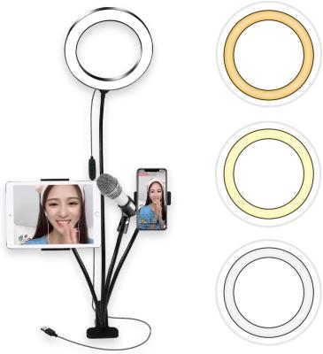 China Adjustable Brightness 4 in 1 3600lm 8 Inch Adjustable Fill 3200K-5500K Selfie Ring Light with Mic Holder Phone Stand/Clip for Live Broadcast for sale