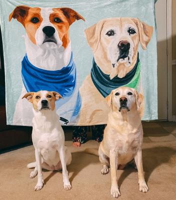 China Anti-pilling Custom Pet Portrait Blanket Personalized Pets Lover Sherpa Throw Blankets For Dog for sale