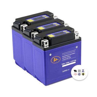 China Machine- OEM factory promotion lifepo4 lithium ion battery 12v for sale