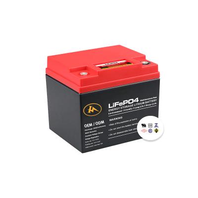 China Power tools factory promotion OEM lifepo4 battery 12v 24v 48v lithium ion batteries for sale