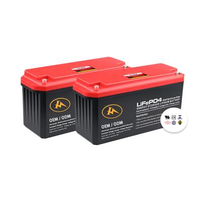 China Power tools OEM lifepo4 battery 12v 24v 48v 60v 72v lithium ion batteries for sale