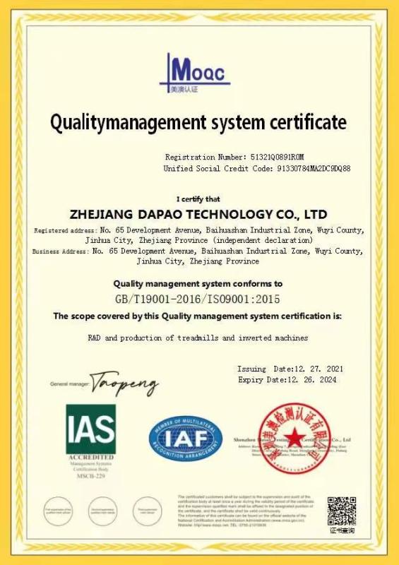 ISO9001 - Zhejiang Dapao Technology Co., Ltd.