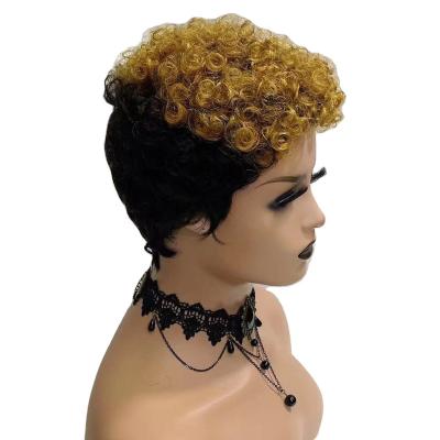 China Other Short Afro Kinky Curly Natural Hair Extensions Wigs For Black Women,Ogx Hair Products Virgin Hair for sale