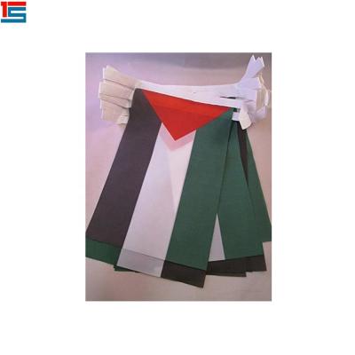 China FLYING Palestinian Flag Bunting Flag String Promotional Products Country for sale