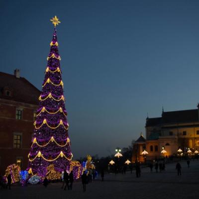 China Large 20ft 30ft 40ft 50ft Outdoor Christmas Tree Light Holiday Decoration Holiday Christmas Tree Commercial Christmas Tree for sale