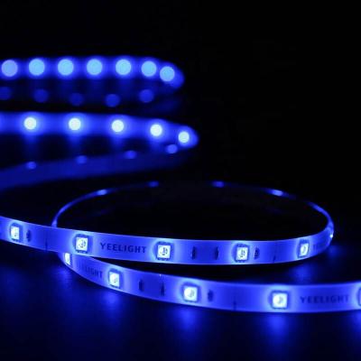 China Decoration high brightness outdoor waterproof ip65 wall led strip lights for sale