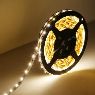 China LANDSCAPE High Brightness Holiday Decoration Lighting SMD 5050 LED Strip Light for sale